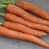 Napoli Organic