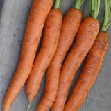 Napoli Organic