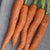 Napoli Organic