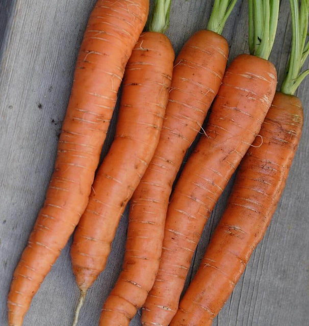 Napoli Organic