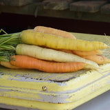 Rainbow Carrot Blend