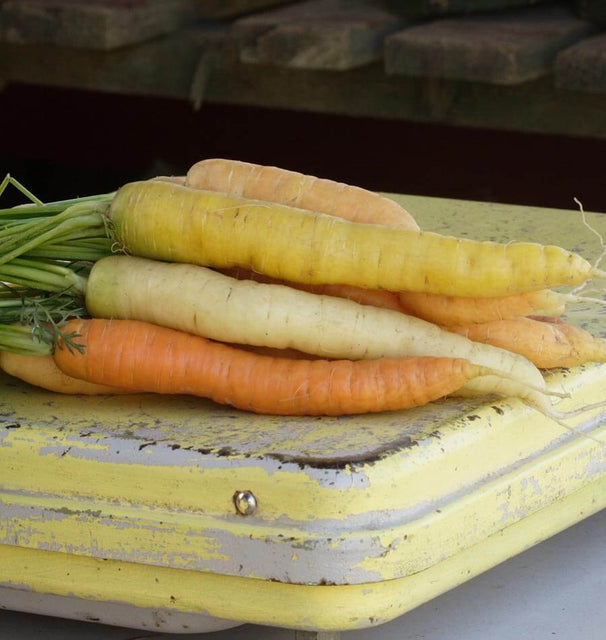 Rainbow Carrot Blend