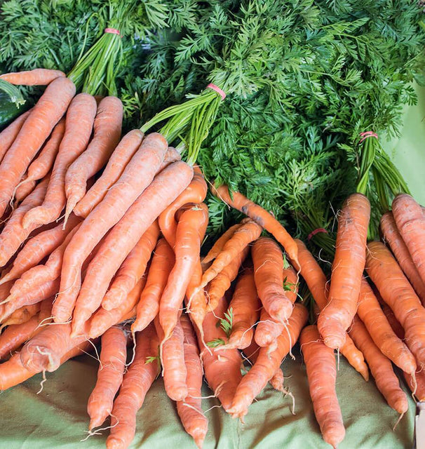 Mokum Carrot Seeds