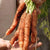 Scarlet Nantes Carrot Seeds CR296 1