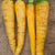 Yellowstone Organic