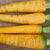 Yellowstone Organic