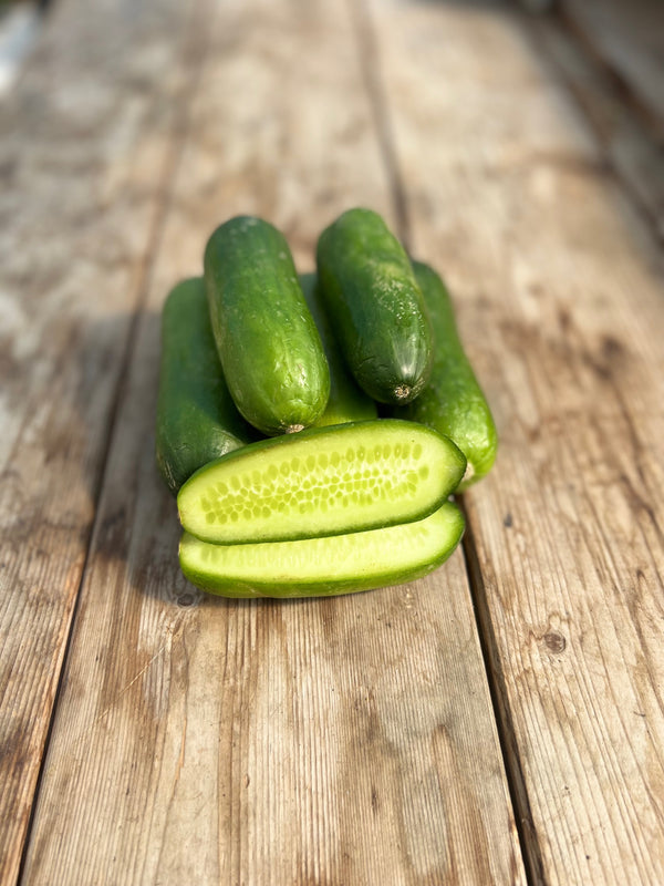 Mini Cucumbers