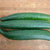 Tasty Green