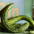 Suyo Long Organic