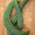 Suyo Long Organic