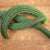 Suyo Long Organic