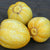 Lemon Cucumber