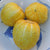 Lemon Cucumber
