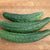 Green Dragon Cucumber Seeds