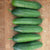 Picolino Organic
