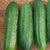 Picolino Organic