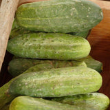 Homemade Pickles