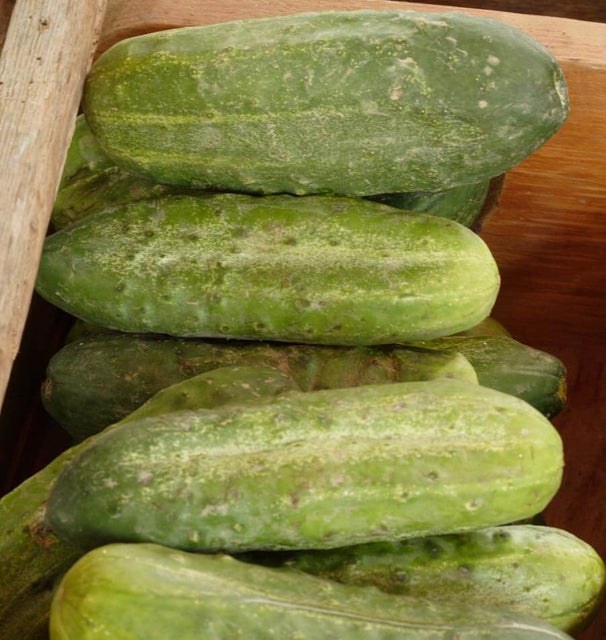 Homemade Pickles
