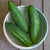 Early Fortune Organic