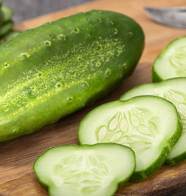 Spacemaster Cucumber Seeds - 60 Count, Non-GMO, USA Garden Vegetable Seeds