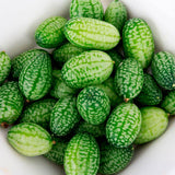 Cucamelon Seeds for Organic Growing