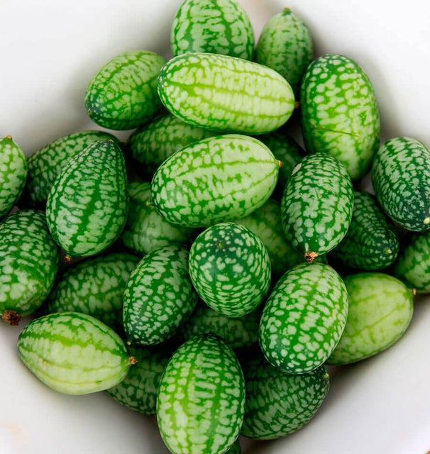 Cucamelon Seeds for Organic Growing