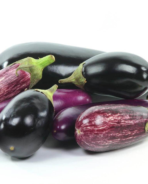 How to grow eggplants Eggplant Blend