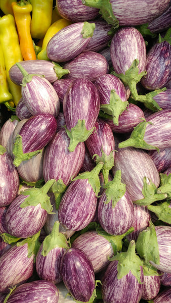 EG424PiccoloEggplant_grande.