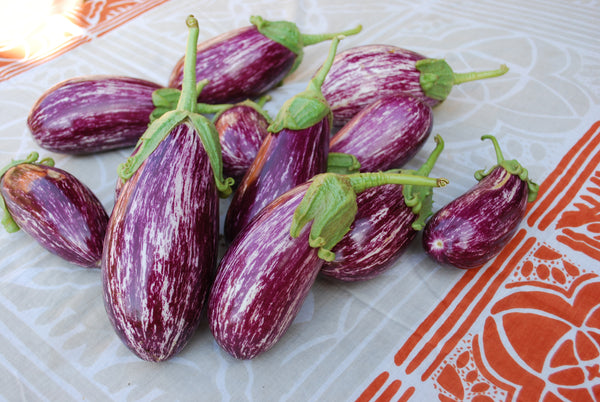 Listada de Gandia Organic