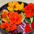 Salad Blend