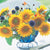 Sunrich Gold Sunflower Seeds