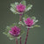Crane Feather Queen Kale Seeds