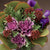 Crane Feather Queen Kale Seeds