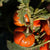 Pumpkin on a Stick