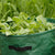 Potaot Grow Bags growing HG402