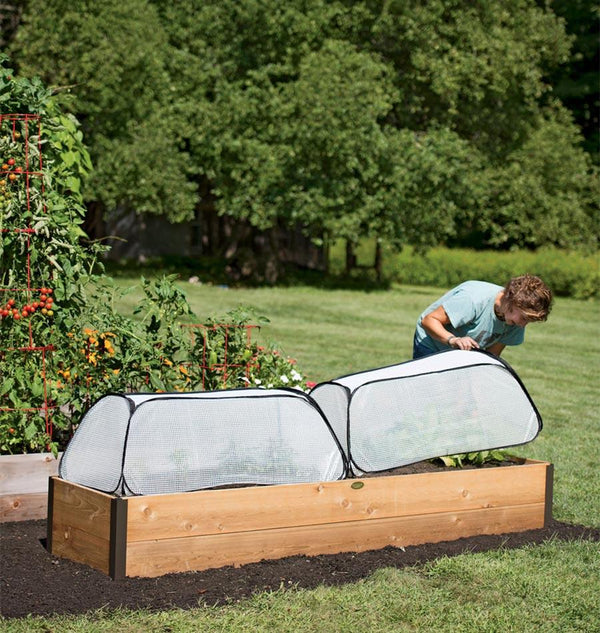 Row Shelter Accelerator