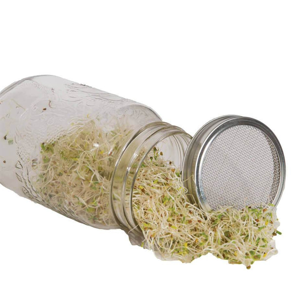 Sprouting Jar with Metal Lid and Seeds HG980-1