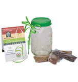 Sprouting Jar with Plastic Lid and Seeds HG987-2
