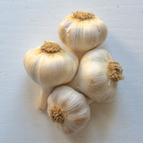 Persian Star Garlic