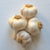 Persian Star Garlic