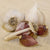 Yugoslavian Garlic for Fall Planting