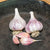 Chesnock Red Garlic