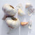 Kettle River Giant Organic