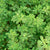 Fenugreek Organic