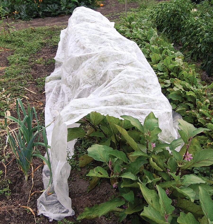 What Are Floating Row Covers Protect Plants With Row Covers | HGTV