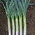 Comanche F1 Organic