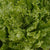 Tropicana Organic