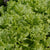 Tropicana Organic