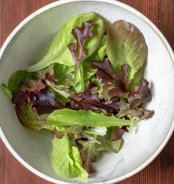 LT525-Summer-Picnic-