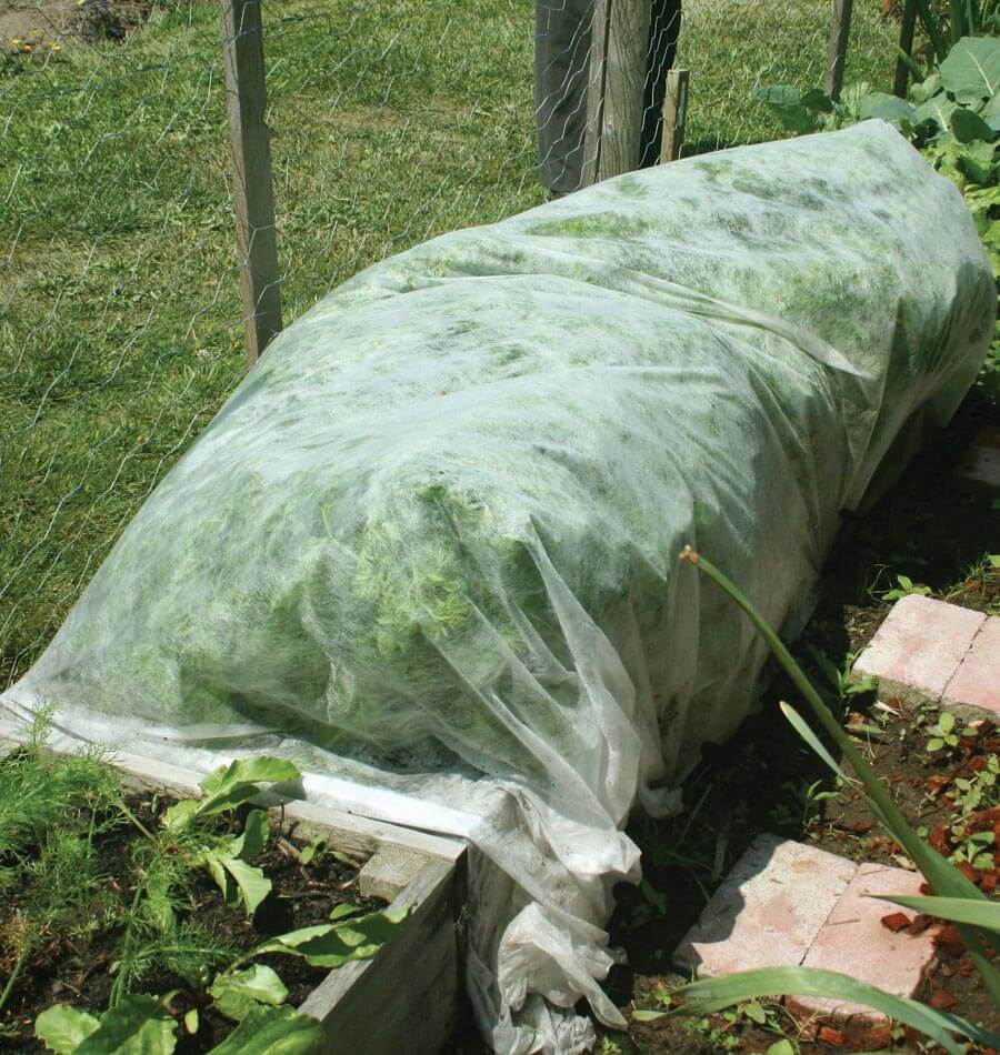 row cover freeze blankets for plants